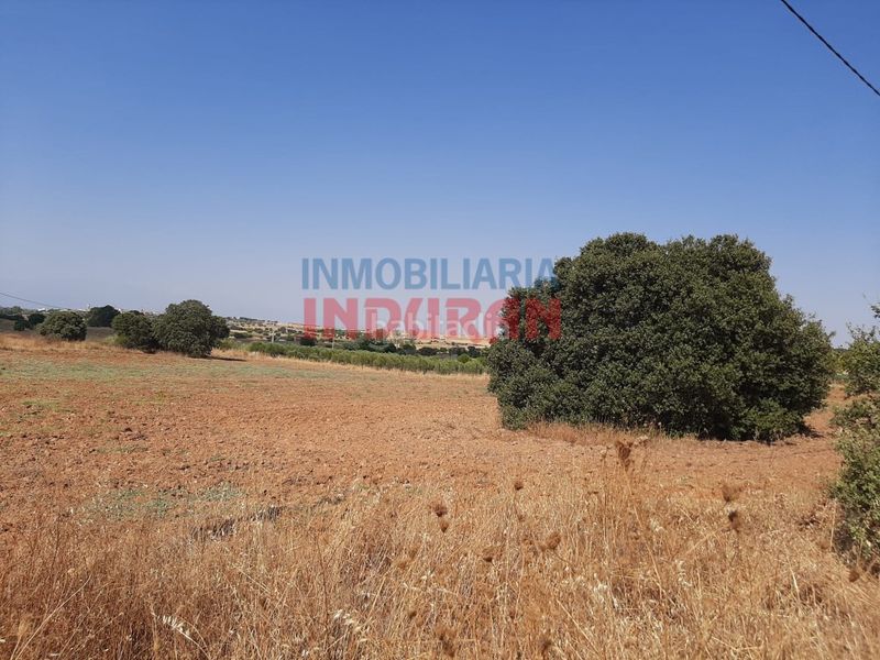 Foto 0db46667-21ac-4e3d-9aff-1c8183c3ee77. Masia a Peraleda de la Mata