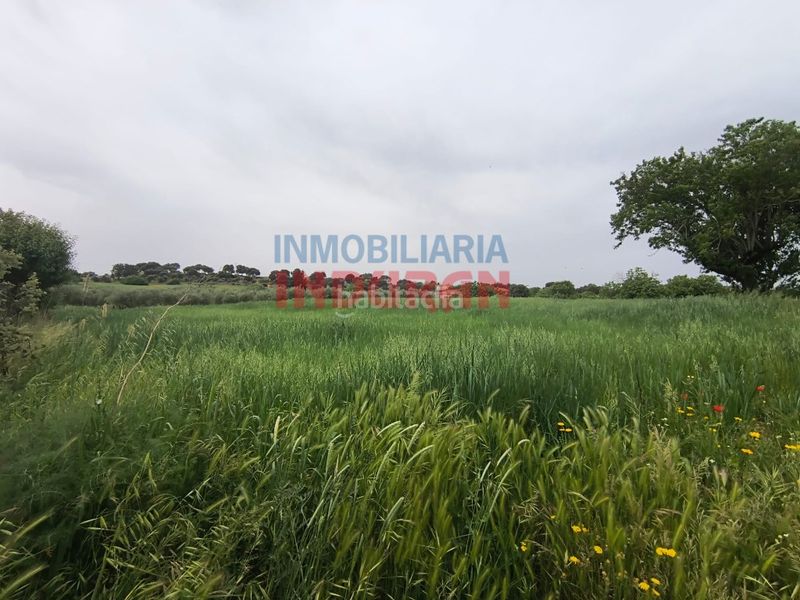 Foto d568ceb7-6f07-4206-b812-77bc866defa0. Masia a Peraleda de la Mata