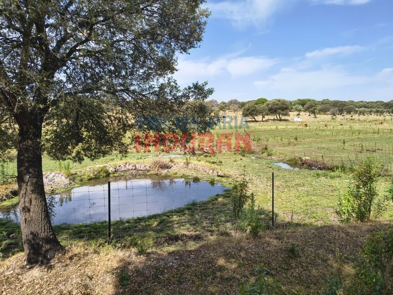 Foto 0f69ba7d-a012-427e-b373-d6dfb29eaae9. Casale in Talaván