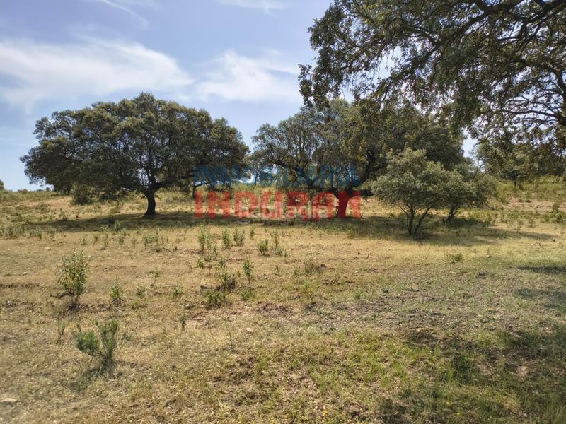 Foto 7fa70dbd-0f78-4585-a561-eb5454f7446c. Casale in Talaván