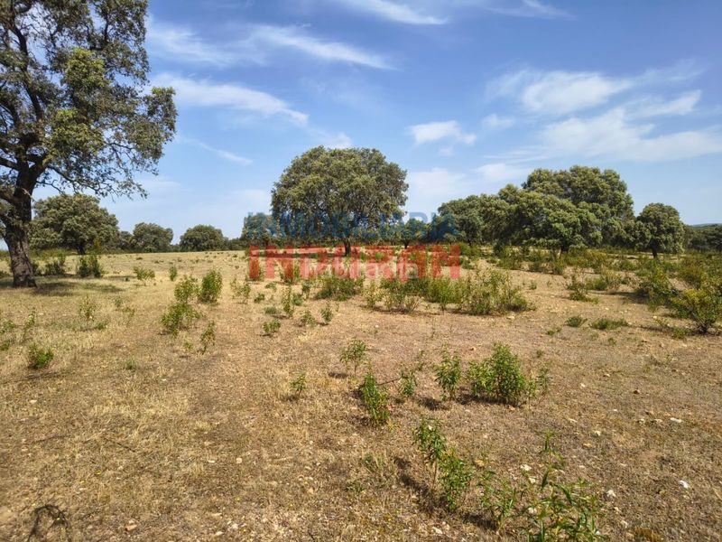 Foto a5c25af4-945c-494e-8995-90b5307e477c. Casale in Talaván