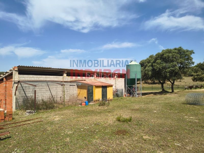 Foto ab19ad84-395f-49f5-9ca5-7e8e5dea880a. Casale in Talaván
