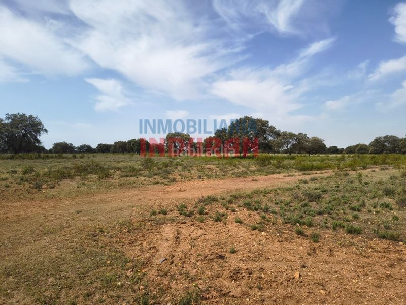 Foto c7918bf1-4a28-464c-adda-5bf098097986. Casale in Talaván