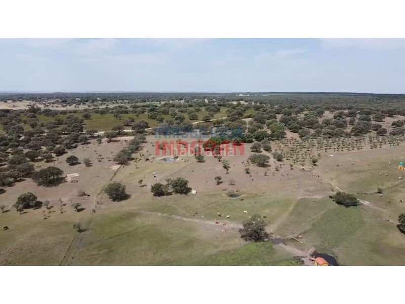 Foto cb8a7487-5e83-48d0-8f6e-6ceb5ac65b45. Casale in Talaván