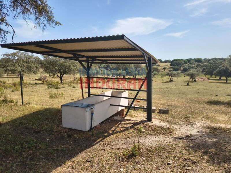 Foto f922bbfd-d206-42db-b2dd-52eb59177310. Casale in Talaván