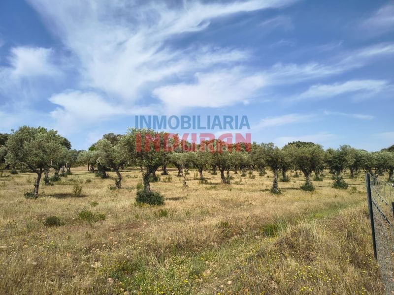 Foto fb13e424-351c-4e6e-8acb-16462a26aca0. Casale in Talaván