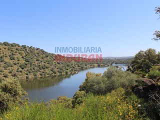 Bauernhof  Diseminados navalpicaza. Espectacular finca ganadera y cinegética de 103 ha con 1,5 km de