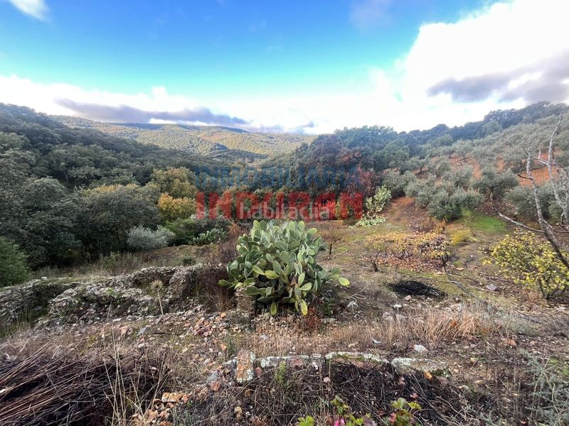 Foto ad4df4b2-4d43-4e96-946c-dbff81c10c8f. Masia a Castañar de Ibor
