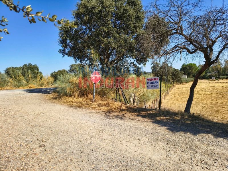 Foto ab4cc87f-8a80-41f3-b0ed-4bf24af706c4. Masia a Saucedilla