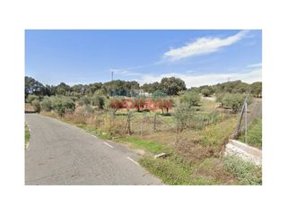 Bauernhof in Millanes. Finca rústica en venta en millanes, cáceres.