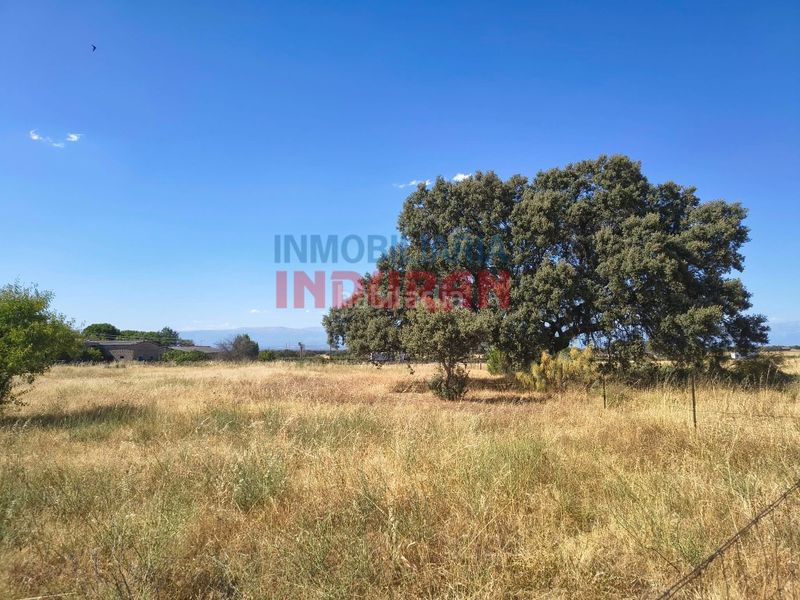 Foto aa0b7a08-fd98-4a36-9e33-dab5855bf32f. Masia a Saucedilla