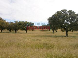 Masia a Malpartida de Plasencia. Finca ganadera con un edificio residencial de 700 m2, una capill