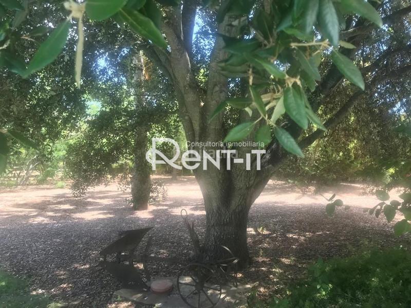 Foto e2e671c1-c027-4a5c-82a3-31cb9d742110. Miete chalet in vell de sant vicenç in Pollença poble Pollença