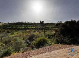 Finca rústica a Valtocado - La Alquería - La Atalaya