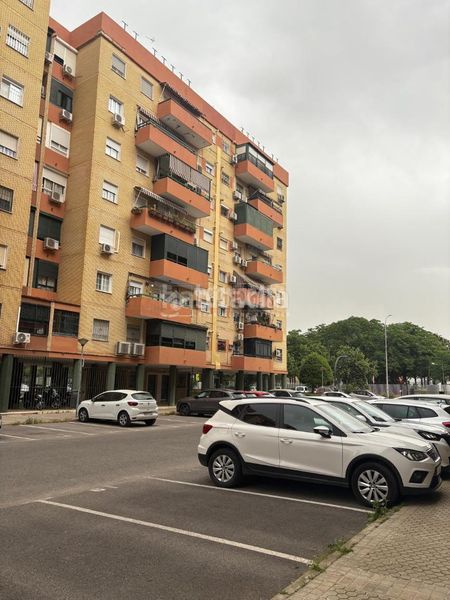 Foto 266224a7-0ac6-4ee4-b254-2ab17e19606f. Pis a Parque Atlántico- San Matías Sevilla