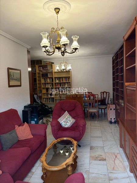 Foto 5e14bed8-25c7-48d8-979a-bbb2d9473f1a. Pis a Parque Atlántico- San Matías Sevilla