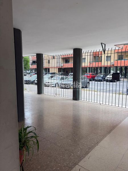 Foto 6274f48c-1be4-4598-b39f-8040fc5c185e. Pis a Parque Atlántico- San Matías Sevilla