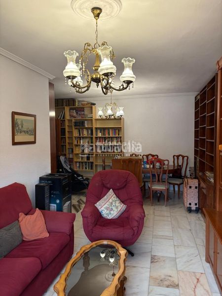 Foto 6496c314-0f10-4aec-a91b-1c19c5c07eb4. Pis a Parque Atlántico- San Matías Sevilla