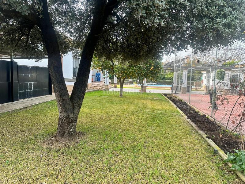 Foto 074e897d-d342-4fbd-a1e4-59f7b5032106. Chalet avec piscine dans Villarrubia Córdoba