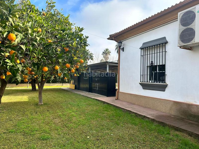 Foto 3904e4e0-b842-4449-bbbc-3108f2a7419e. Chalet avec piscine dans Villarrubia Córdoba