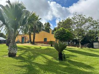 Mas à Montoro. Finca  de 65 hectáreas  con vivienda en montoro