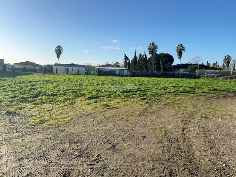 Foto 47d8d773-7cc9-4347-b01d-0e1334b22b19. Masia amb aparcament piscina a El Higuerón Córdoba