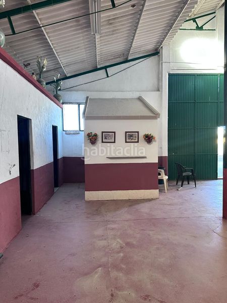 Foto 5df54020-55fe-4e68-9fe5-705677508093. Masia amb aparcament piscina a El Higuerón Córdoba