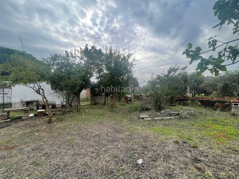 Foto 3569187a-4153-4793-8bef-f16222541550. Masia a Almodóvar del Río