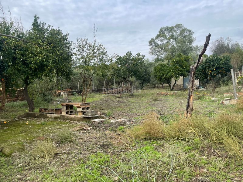 Foto 56ab6ae5-55f8-4d19-b00e-3ed393b4fab5. Masia a Almodóvar del Río