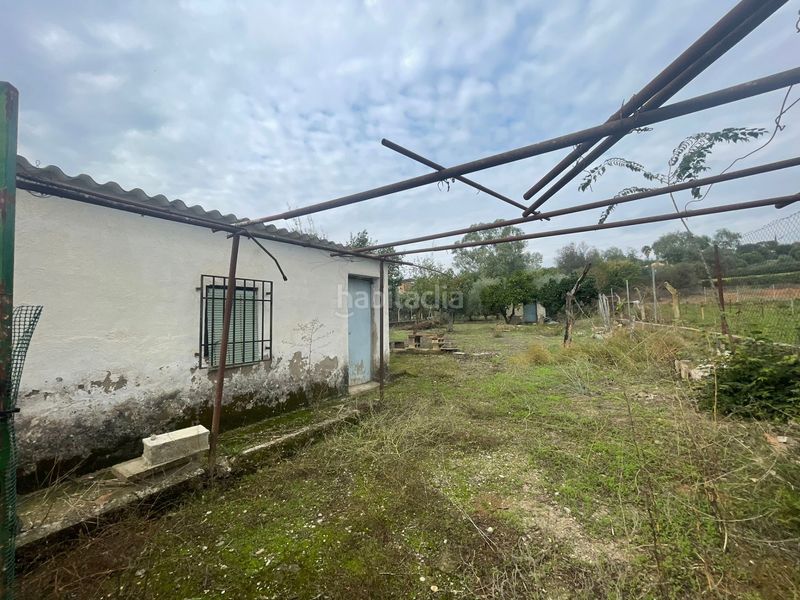 Foto 6ce87b13-ebc9-429d-95fd-fbcd68cf678f. Masia a Almodóvar del Río