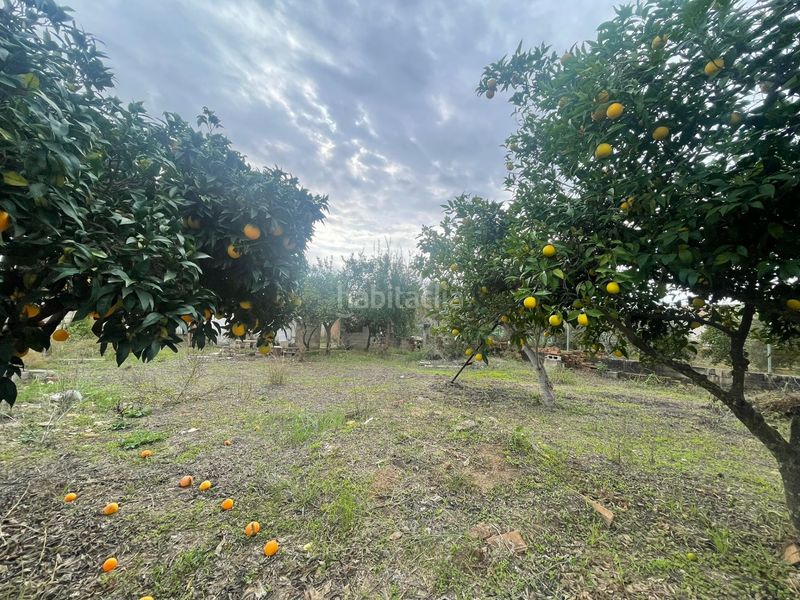 Foto 9289de59-0440-4ed3-a09a-e9c34a6db761. Masia a Almodóvar del Río