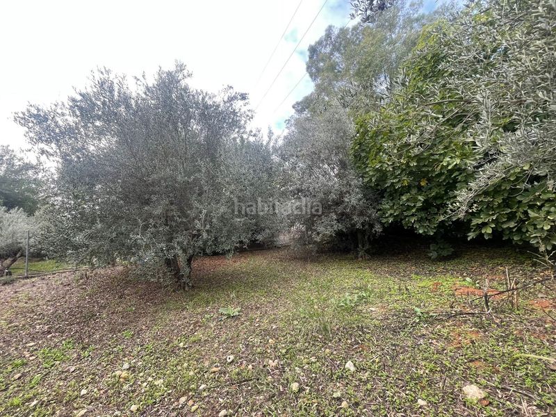 Foto d261036e-1629-46a6-a550-06a4b199002c. Masia a Almodóvar del Río