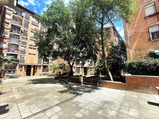 Pis a Plaza LLEDONERS