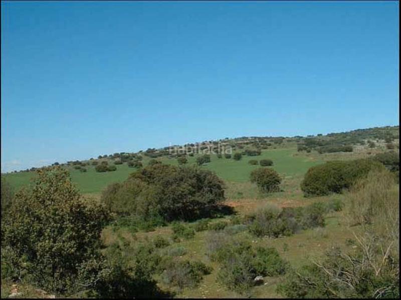 Foto 5f5b234a-f9ab-4408-beef-916551922657. Landgut in Alqueries (Les) / Alquerías del Niño Perdido