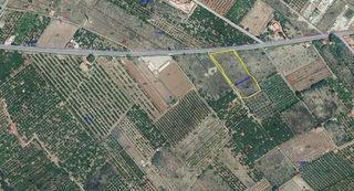 Propriété à Avenida Alemania-Italia. Finca en camí betxí
