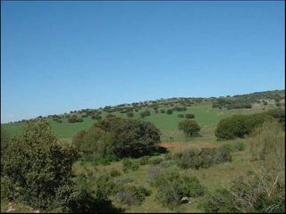 Finca rústica a Alqueries (Les) / Alquerías del Niño Perdido. Finca rústica en venta en alquerías del niño pérdido