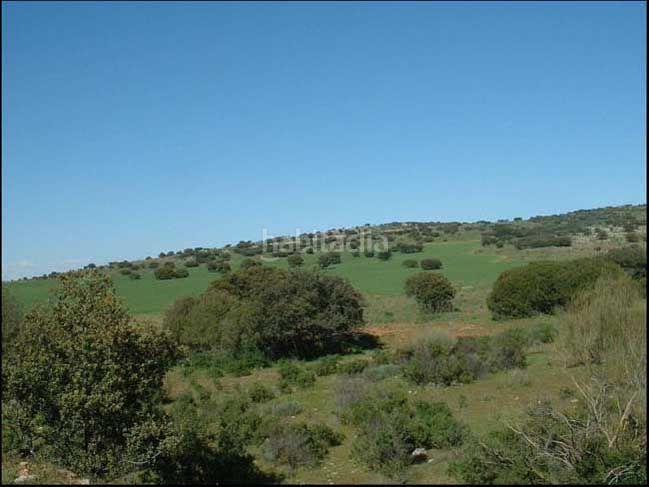 Foto 672e2321-8775-4f5a-b22b-b5208dacddbe. Finca rústica a Alqueries (Les) / Alquerías del Niño Perdido