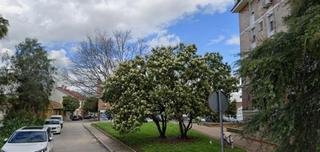 Etagenwohnung in Cañero. Piso en cordoba