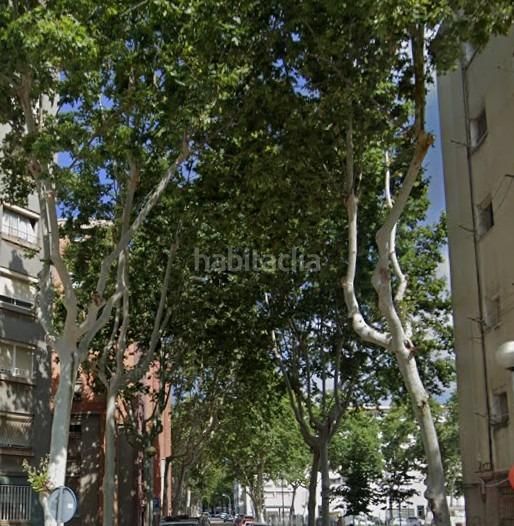 Foto 458ec695-5522-4282-b143-0e0a187596d1. Pis a Sant Roc Badalona
