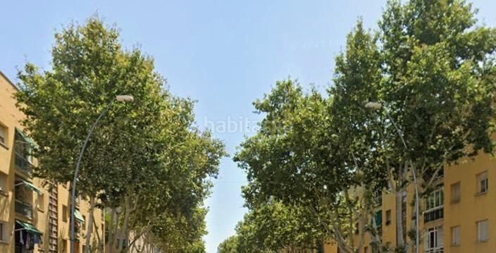 Foto 4214c067-4369-473c-aa2d-cb86bf046a3a. Pis a Sant Cosme-La Granja Prat de Llobregat (El)