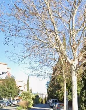 Foto 4d281648-b646-4aae-ab75-1ee23826b8fa. Pis a Mestral Reus