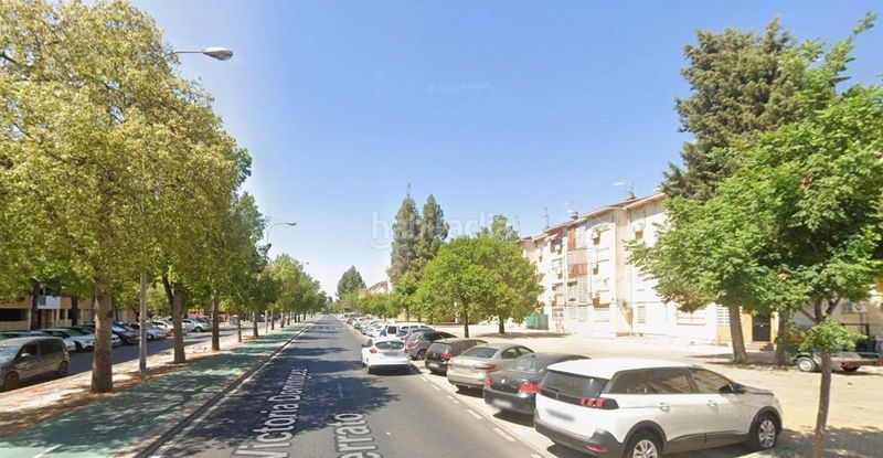 Foto df34d6cf-7533-4850-b2d5-d9a538343902. Pis a La Oliva Sevilla