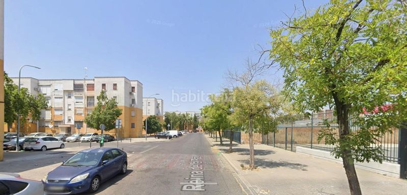 Foto df054c56-d384-4265-a3e7-e2b0f37e36f8. Pis a La Oliva Sevilla