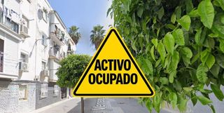 Pis  Venezuela. Piso en san juan de aznalfarache