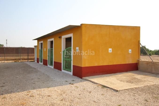 Foto 672d1fe5-e7e4-4fff-b320-0c27a0abf1ec. Casale con parcheggio piscina in Daya Nueva