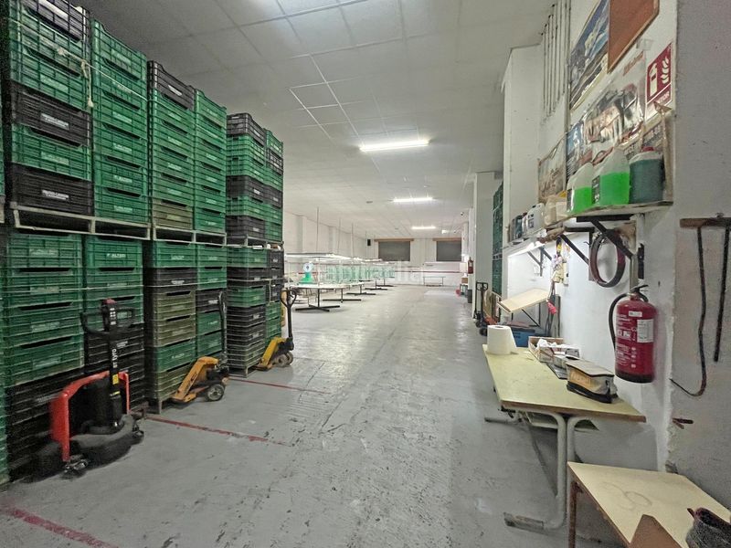 Foto 1b6ac8e5-dbac-42b3-bd91-218f5c883c6a. Locale commerciale in Novelda