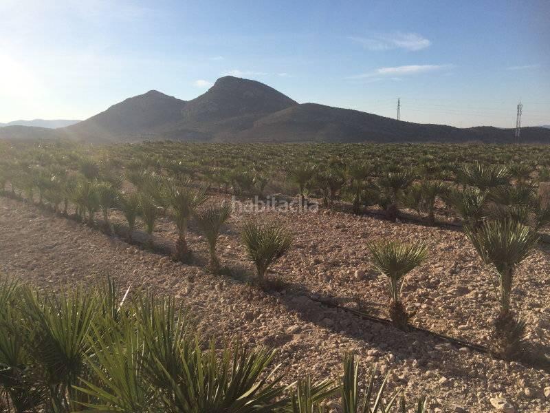 Foto 6156a5f6-1b0a-4d9b-9c67-335854e188f5. Fondo rustico in Agost