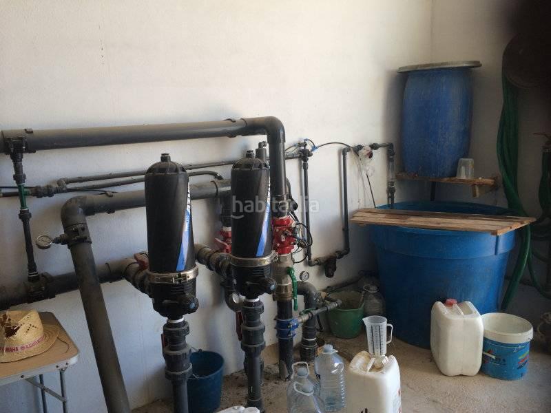 Foto a76cd091-7467-42e2-a375-fc7284ee8781. Fondo rustico in Agost