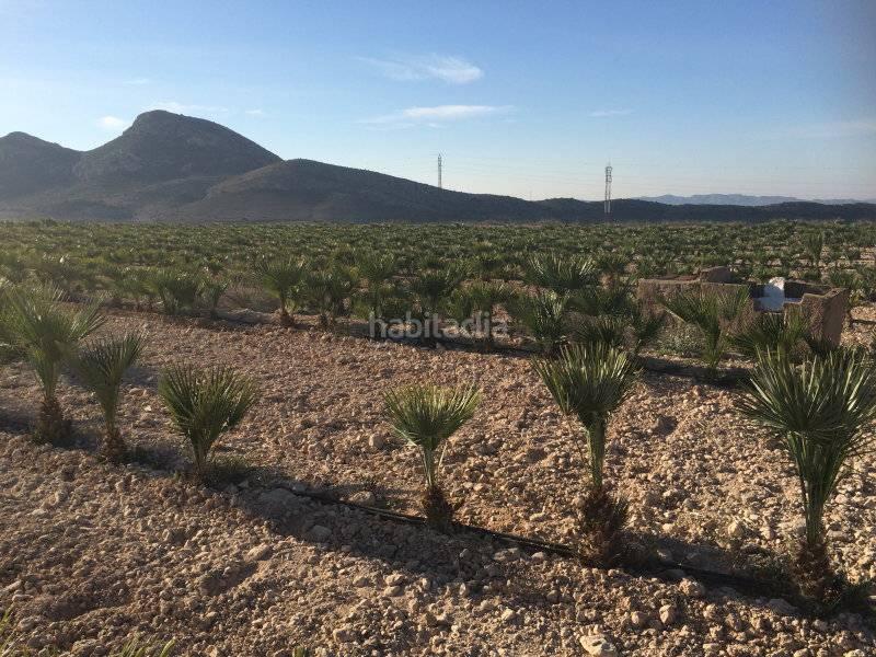 Foto d314afba-0205-47d8-9b52-724cbd53038e. Fondo rustico in Agost