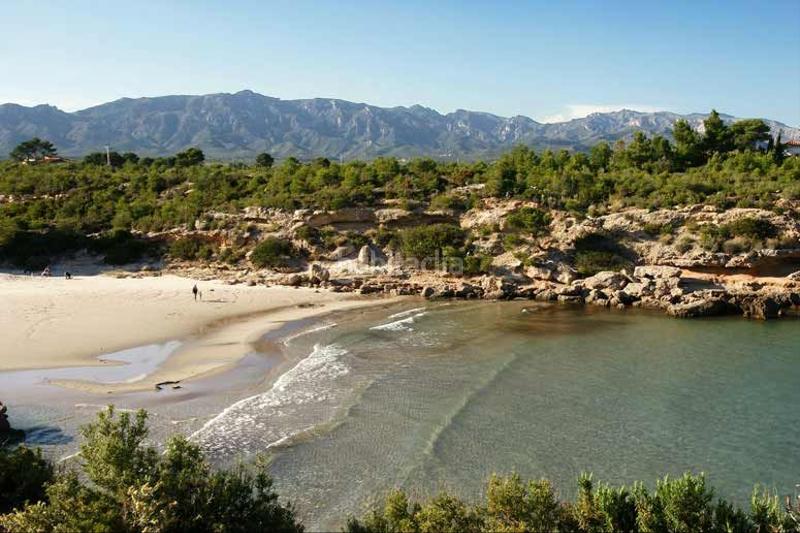 Foto 8b4575e1-baf0-427b-b6c7-1af7cb3b9850. Building in partida la barrera 56 in Roques Daurades-L´Estany Ametlla de Mar (L´)